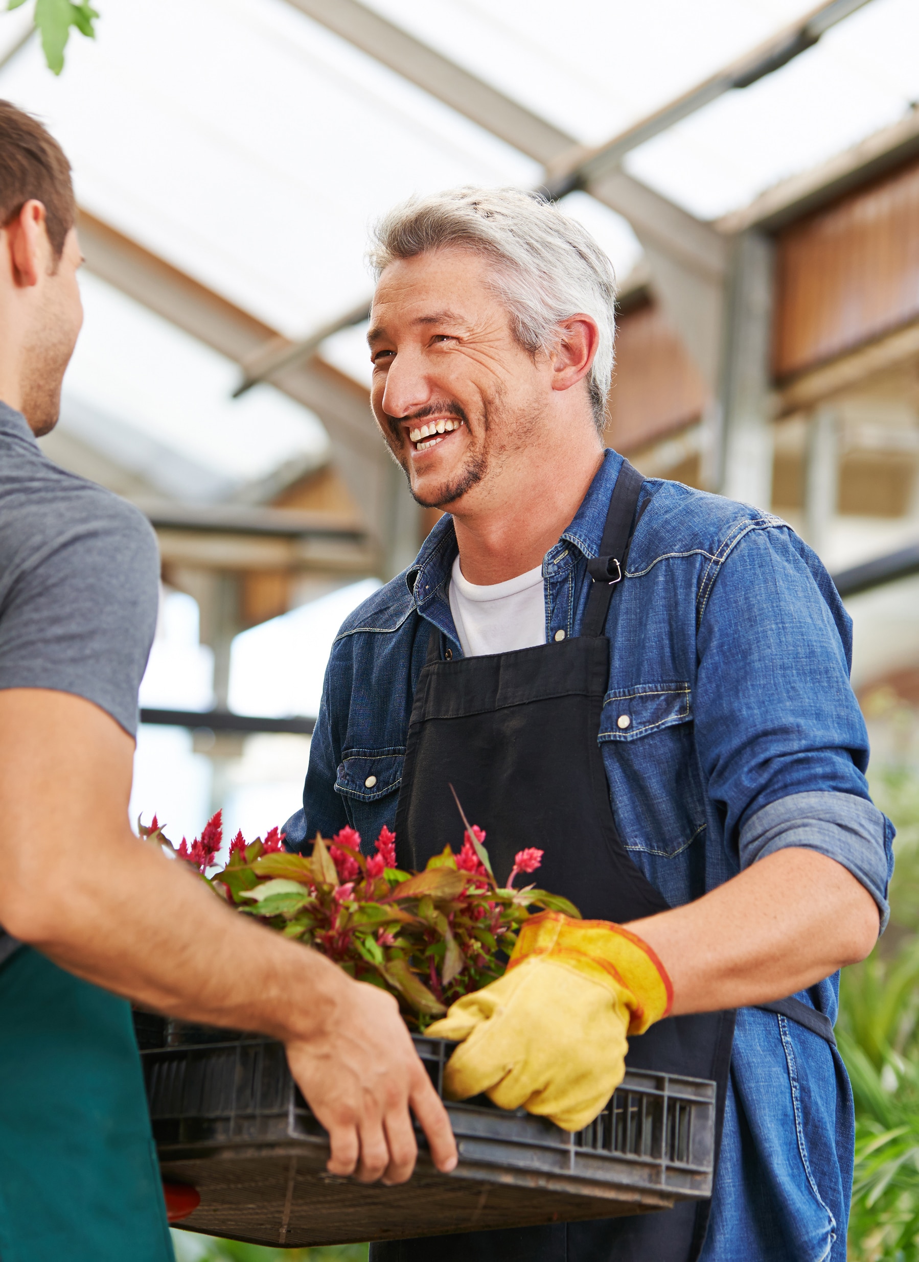 Two happy men working together as gardener in nursery shop